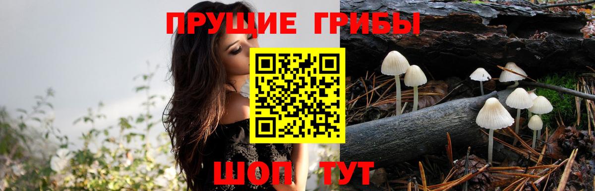 Псилоцибиновые грибы Magic Shrooms Тобольск
